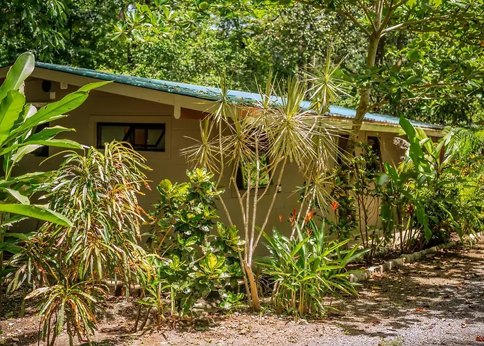 Feeling Trees Jungle Lodge